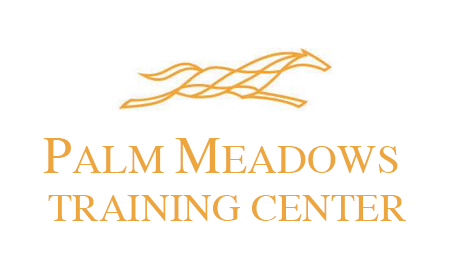  Palm Meadows Training Center